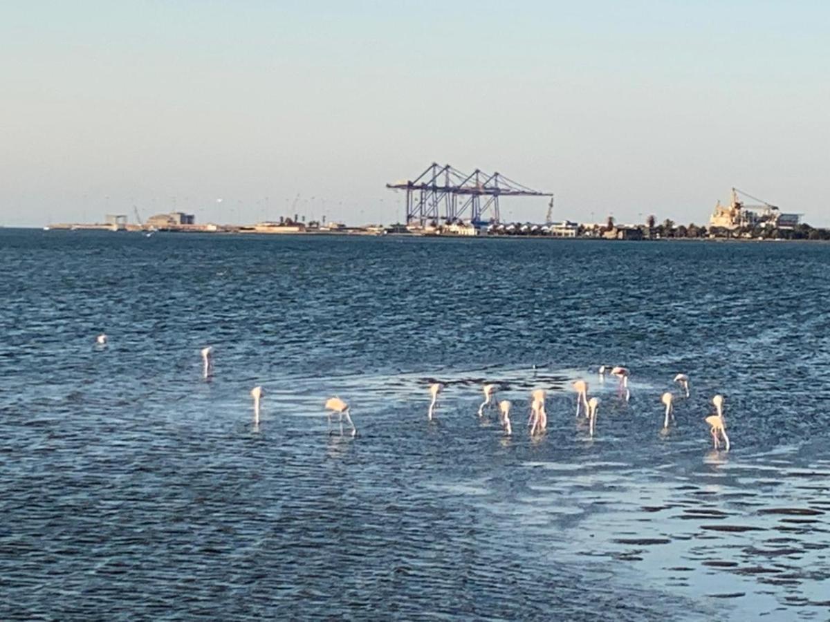Mukulela Bed & Breakfast Walvis Bay Bagian luar foto